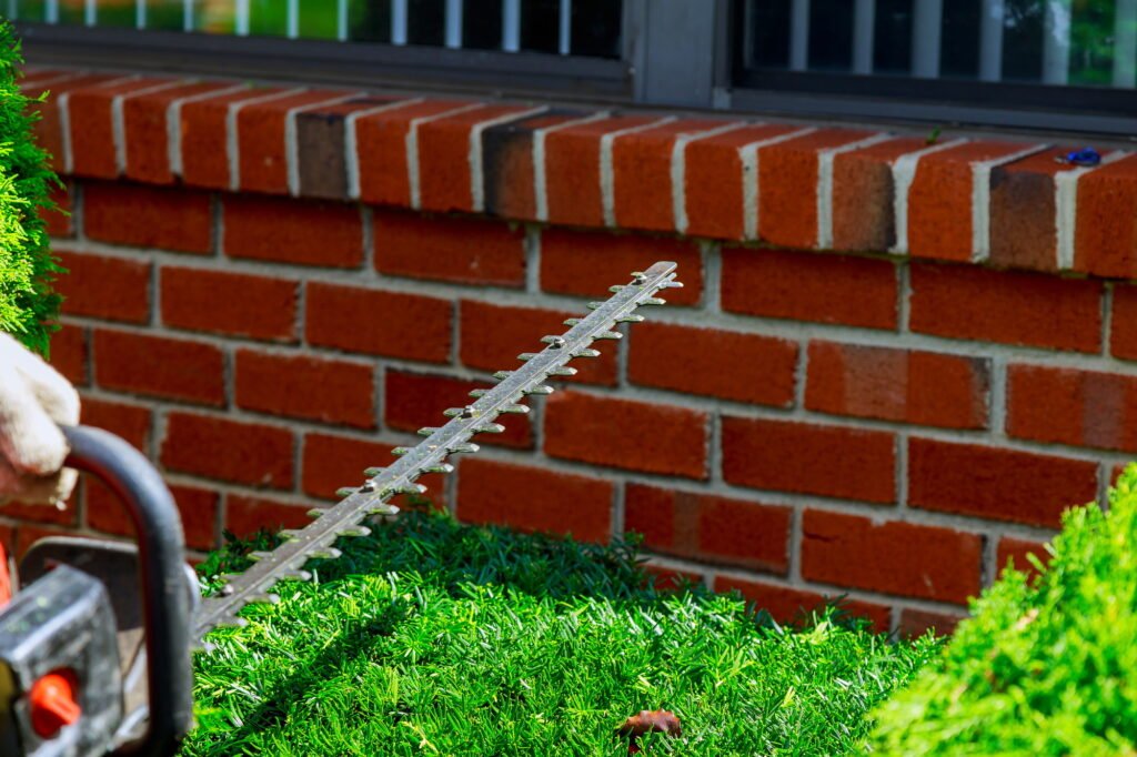 hedge trimming works in a garden